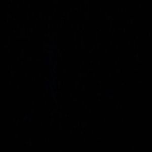 Meet your Posher, Mathis